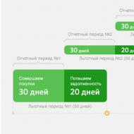Condizioni per il rimborso di una carta di credito Sberbank, come e quando rimborsare una carta